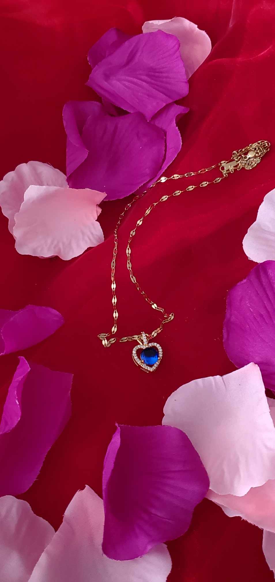 Collier Coraz en acier inoxydable