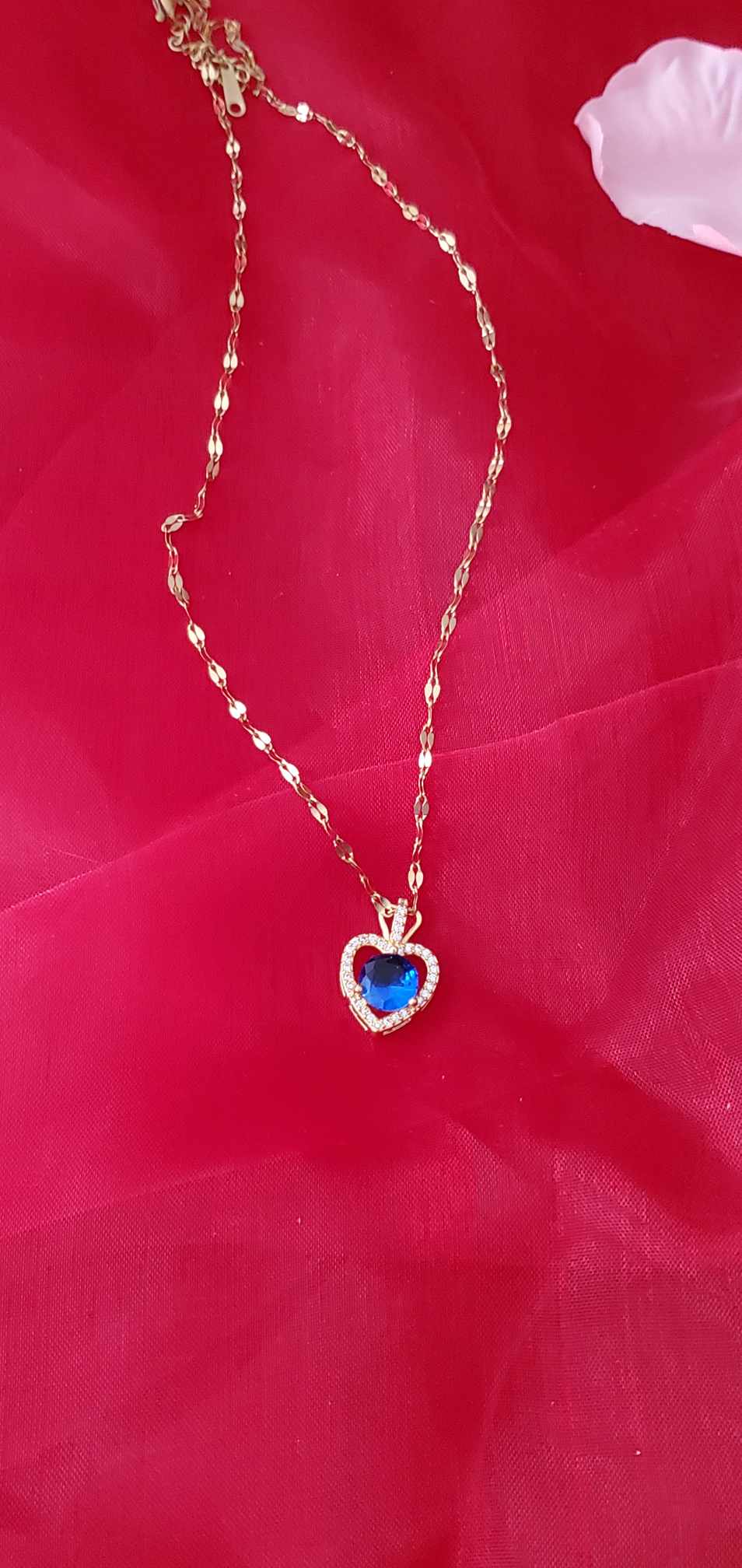 Collier Coraz en acier inoxydable