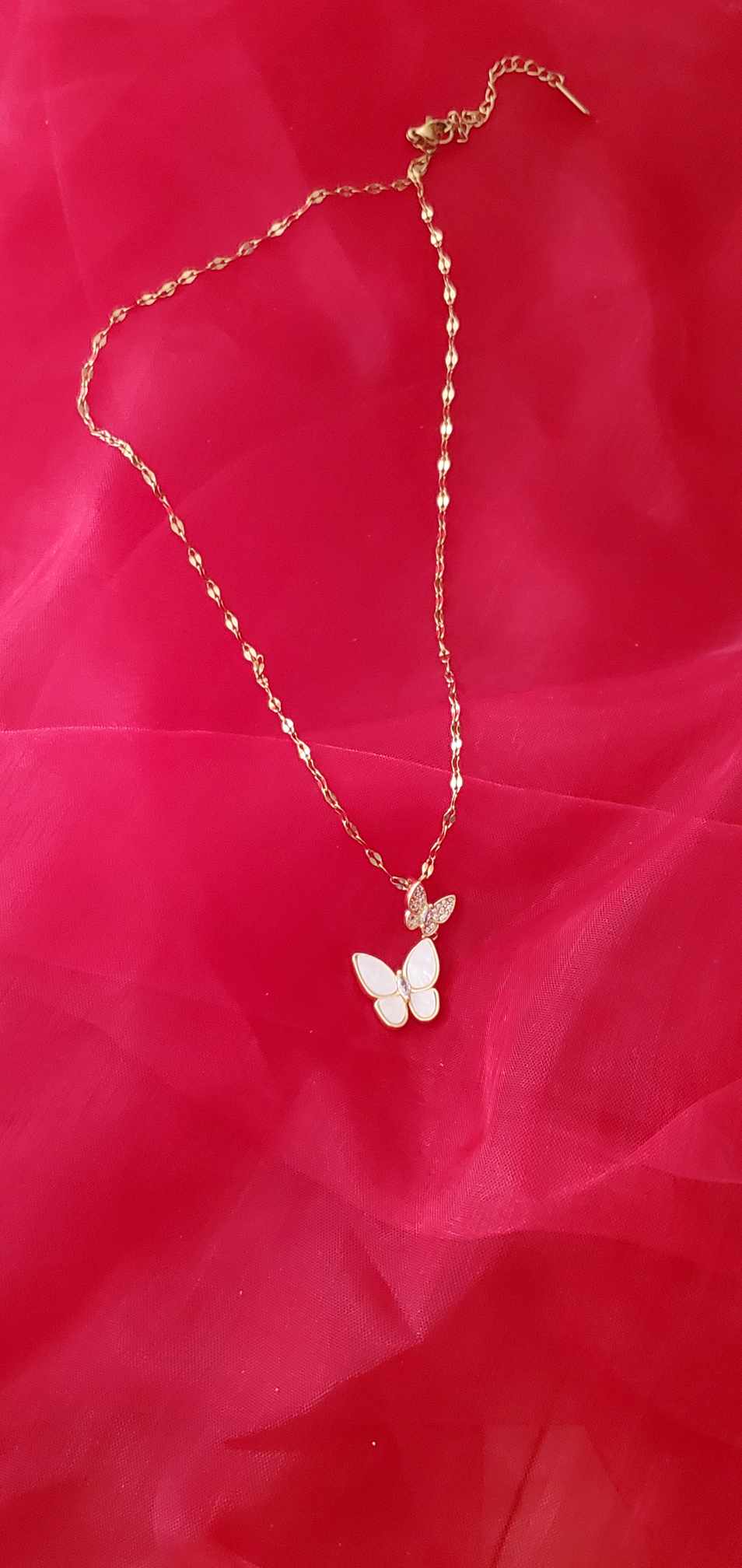 Collier Mariposa en acier inoxydable