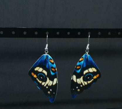 Ailes bleues