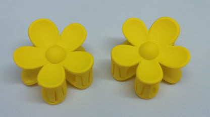 Pinces à cheveux