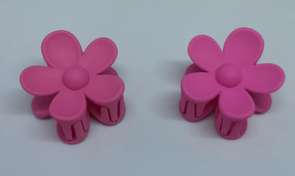 Pinces à cheveux